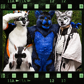 Eurofurence 2015 fursuit photoshoot. Preview picture of HeyZ, Gregory, Polar Darknoir, …